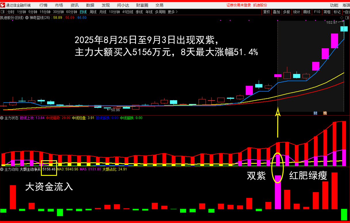 9.3凯迪股份 2025年8月25日至9月3日出现双紫,主力大额买入5156万元,8天最大涨幅51.4%.png